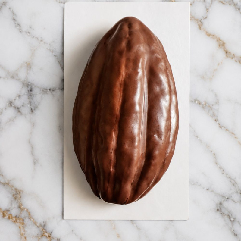 Chocolat blanc Zéphyr™ 34 % Cacao Barry 1 kg | Trompe-l'œil Création