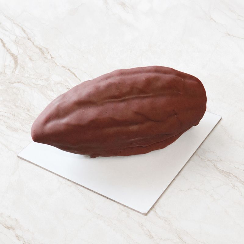 Moule silicone trompe-l'œil cabosse de cacao individuel