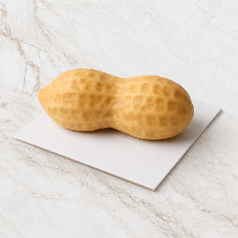 Moule silicone plaque trompe-l'œil cacahuète