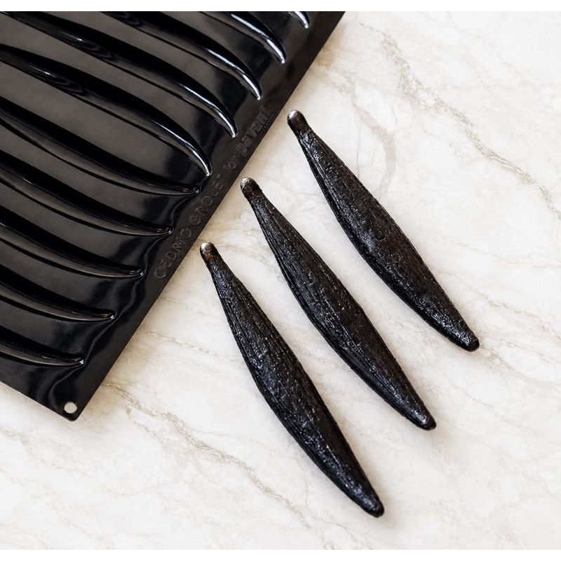 Moule silicone Pavoflex vanille trompe-l'œil Cédric Grolet
