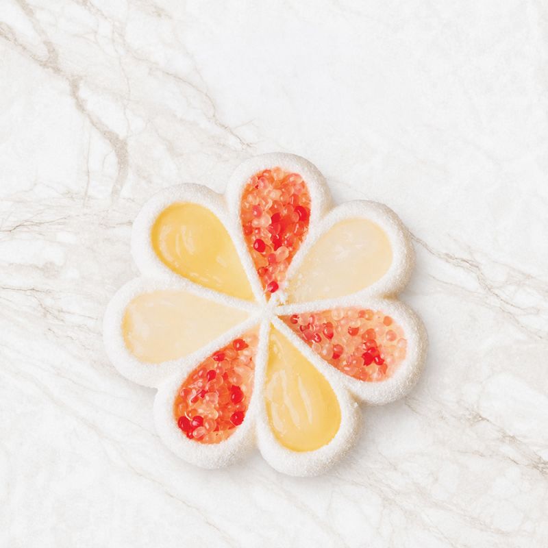 Moule silicone trompe-l’œil Lemon Flower x6 – Signature Tom Coll
