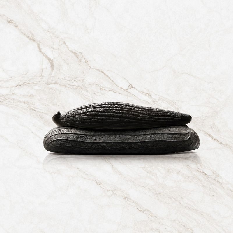 Moule silicone trompe-l’œil Éclair vanille x8