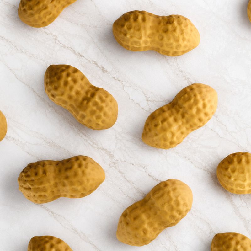 Moule silicone Pavoflex cacahuète trompe-l'œil Fabrizio Fiorani